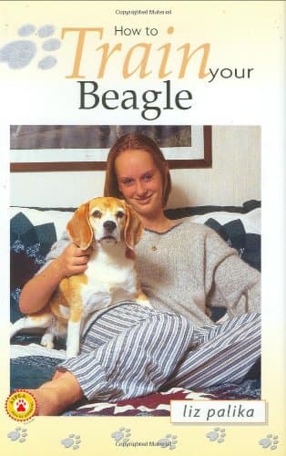 Book cover for How to Train Your Beagle by Palika, Liz