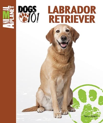 Book cover for Labrador Retriever (Animal Planet Dogs 101) by Albert, Terry