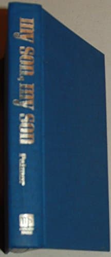 Book cover for My Son, My Son by Bernard Palmer