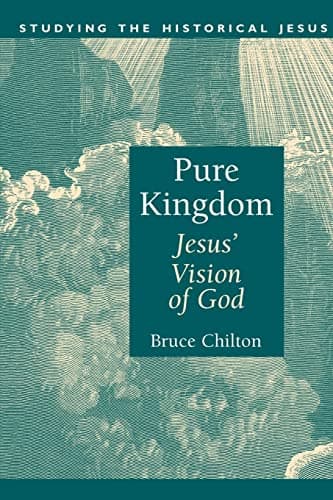 Book cover for Pure Kingdom: Jesus' Vision of God (Studying the Historical Jesus) by Chilton, Mr. Bruce