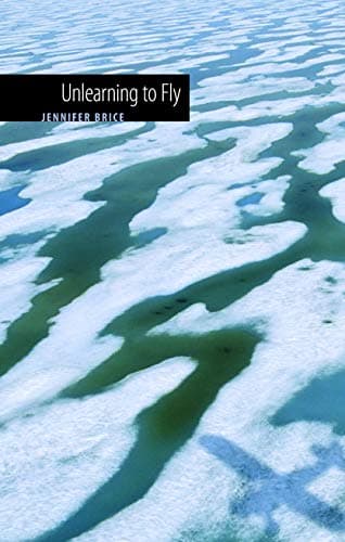 Book cover for Unlearning to Fly by Brice, Jennifer