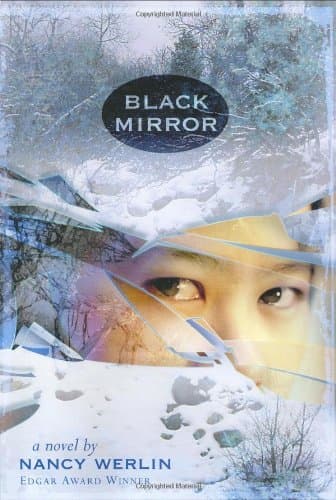 Book cover for Black Mirror by Werlin, Nancy