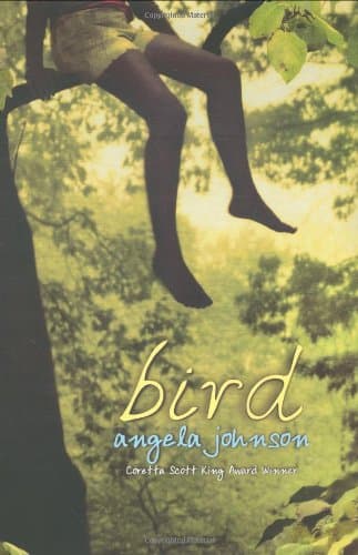 Book cover for Bird by Johnson, Angela