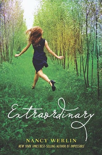 Book cover for Extraordinary by Werlin, Nancy
