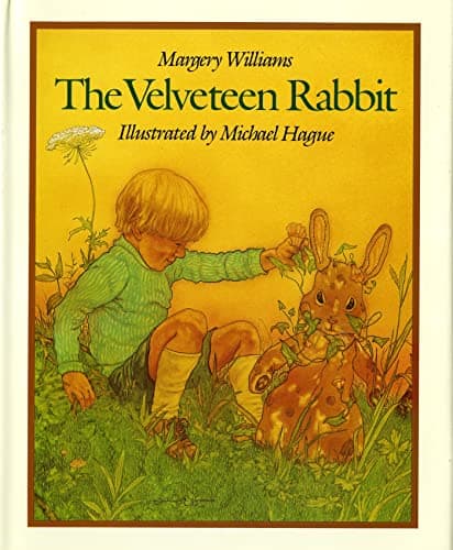 Book cover for The Velveteen Rabbit by Williams, Margery