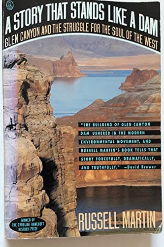 Book cover for A Story That Stands Like a Dam by Martin, Russell