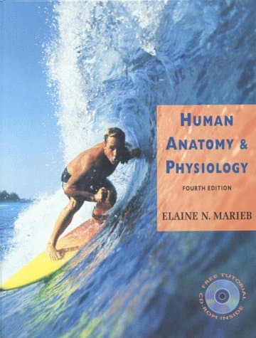 Book cover for Human Anatomy and Physiology (4th Edition) by Marieb, Elaine Nicpon