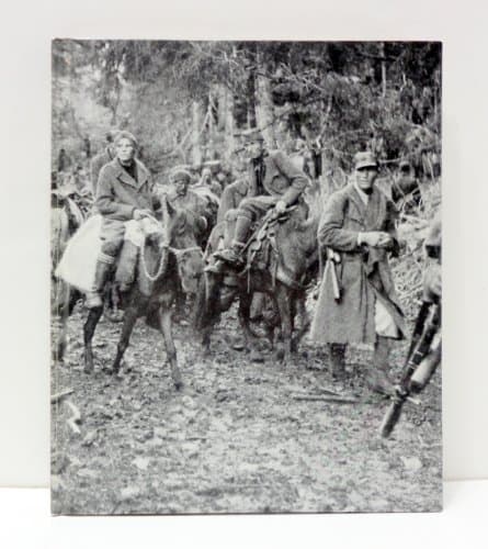 Book cover for Partisans and Guerrillas (Time Life World War II, Vol. 12) by Bailey, Ronald H.