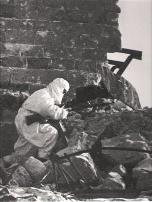 Book cover for Red Army Resurgent (World War II Series) by John Shaw
