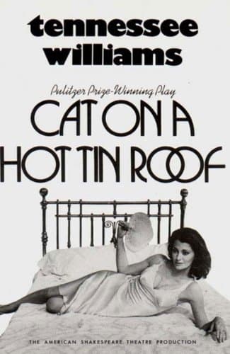 Book cover for Cat on a Hot Tin Roof by Williams, Tennessee