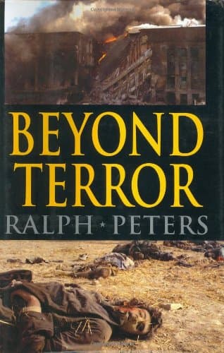 Book cover for Beyond Terror: Strategy in a Changing World by Peters, Ralph