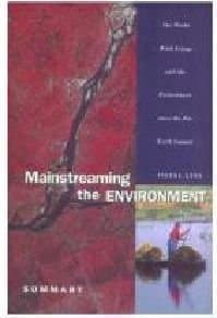 Book cover for Mainstreaming the Environment: The World Bank Group and the Environment Since the Rio Earth Summit (Fiscal 1995) by Mason, Jocelyn