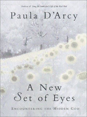Book cover for A New Set of Eyes: Encountering the Hidden God by D'Arcy, Paula