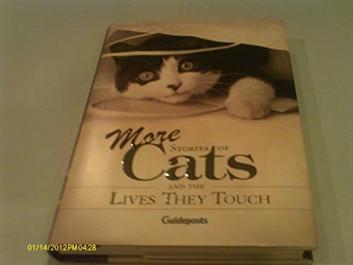 Book cover for More Stories Of Cats and the Lives They Touch by Schaefer, Peggy