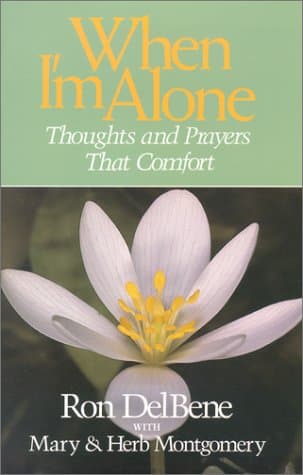 Book cover for When I'm Alone: Thoughts and Prayers That Comfort by Ron DelBene