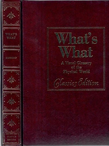 Book cover for What's What by Bragonier, Reginald Jr.;Fisher, David