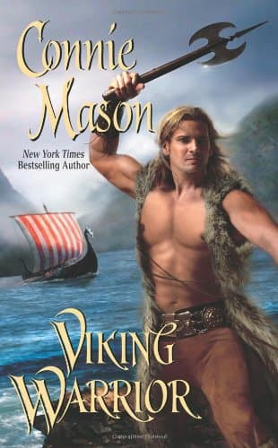 Book cover for Viking Warrior by Mason, Connie