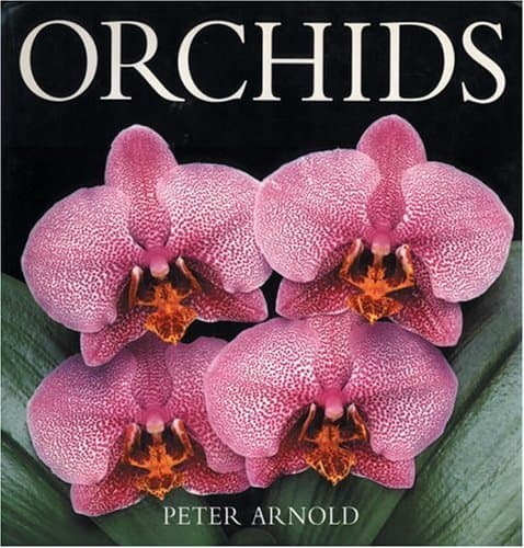 Book cover for Orchids by Arnold, Peter