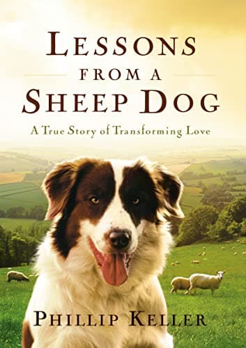 Book cover for Lessons from a Sheep Dog: A True Story of Transforming Love by Keller, Phillip