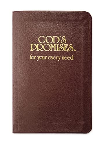 Book cover for God's Promises for Your Every Need: A Treasury of Scripture for Life by Thomas Nelson