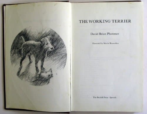 Book cover for The Working Terrier by Plummer, David Brian