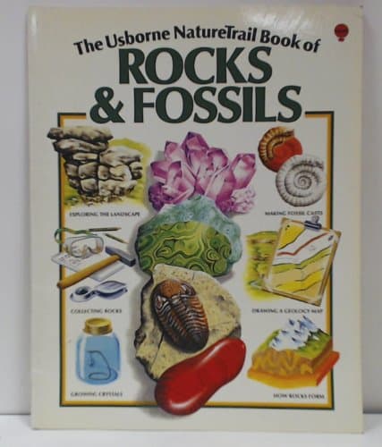 Book cover for Understanding and Collecting Rocks and Fossils by Cork, B.; Bramwell, M.