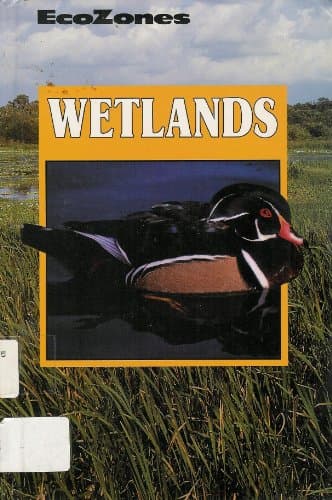 Book cover for Wetlands (Ecozones) by Stone, Lynn M.