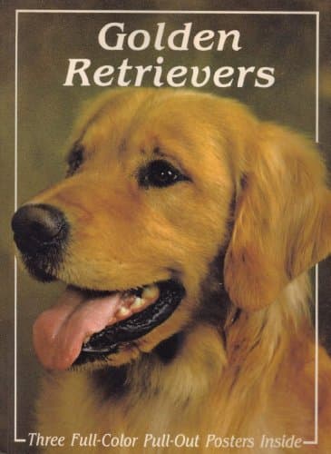 Golden Retrievers