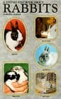 Book cover for Step by Step Book About Rabbits by Barrie, Anmarie