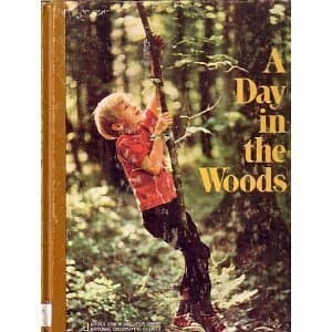 Book cover for A Day in the Woods by Ronald M. Fisher