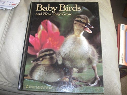 Book cover for Baby Birds and How They Grow by McCauley, Jane