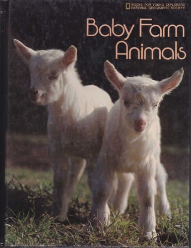 Book cover for Baby Farm Animals by Windsor, Merrill