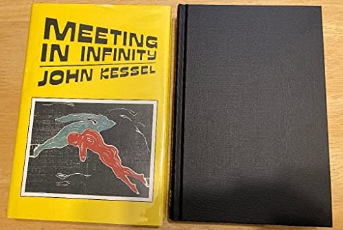 Book cover for Meeting in Infinity: Allegories & Extrapolations by Kessel, John