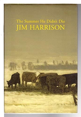 Book cover for The Summer He Didn't Die by Harrison, Jim