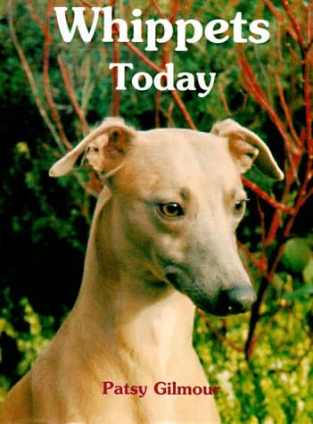 Book cover for Whippets Today by Gilmour, Patsy