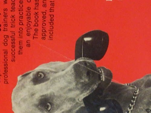 Book cover for Dog Tricks by Benjamin, Carol Lea
