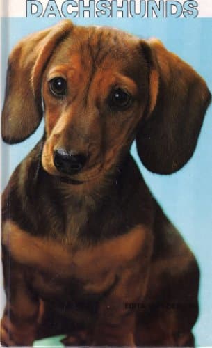 Book cover for Dachshunds by Van Der Lyn, Edita