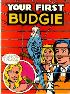 Book cover for Your First Budgie by Videla, Enrique Illustrator