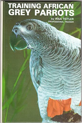 Training African Grey Parrots