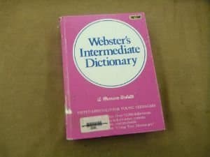 Webster's Intermediate Dictionary: A New School Dictionary
