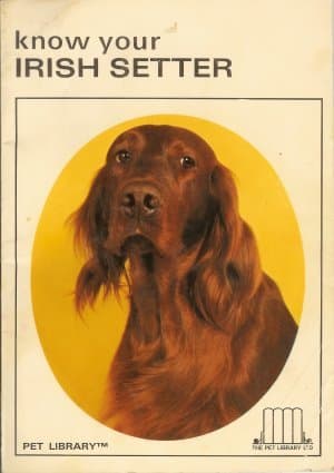Book cover for Know Your Irish Setter by Schneider, Earl