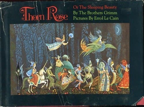 Book cover for Thorn Rose by Jacob Grimm