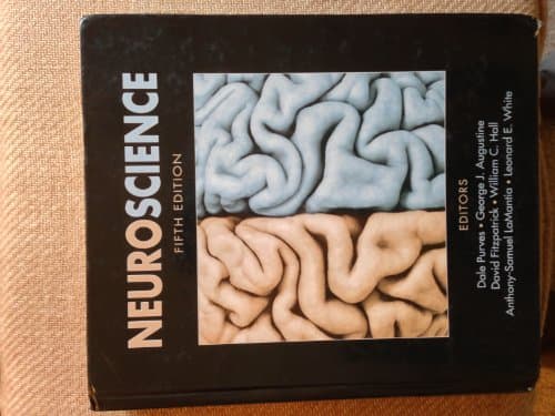 Book cover for Neuroscience by Purves, Dale