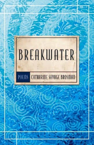 Book cover for Breakwater by Brosman, Catharine Savage