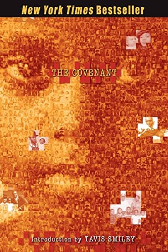 Book cover for The Covenant with Black America by Various Contributors