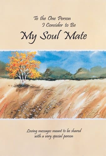 Book cover for To the One Person I Consider to Be My Soul Mate: Loving Messages Meant to Be Shared With a Very Special Person by Pagels, Douglas
