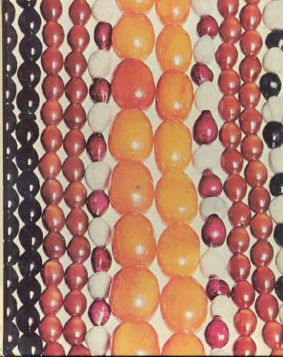 Book cover for The Family Creative Workshop (Volume 2 of 24 Volume Set) (Beachcombing to Bottle Gardens) by Allen Davenport Bragdon, et al.