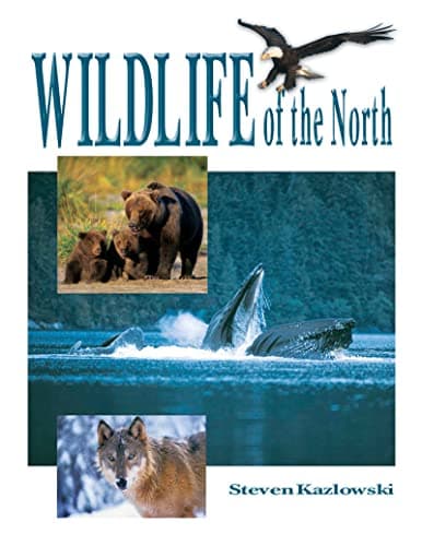 Book cover for Wildlife of the North by Kazlowski, Steve