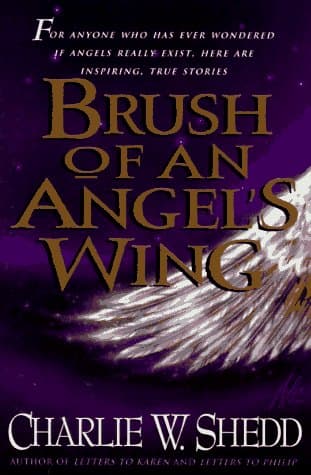 Book cover for Brush of an Angel's Wing by Shedd, Charlie W.