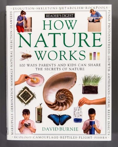 Book cover for How Nature Works: 100 Ways Parents & Kids Can Share the Secrets of Nature by David Burnie